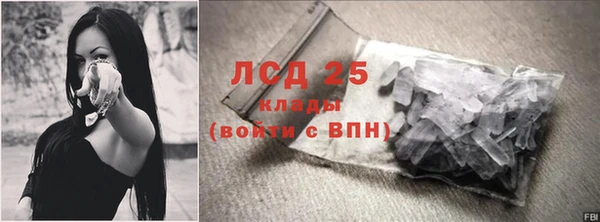 хмурый Липки