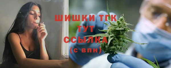 крисы Майский