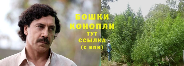 крисы Майский
